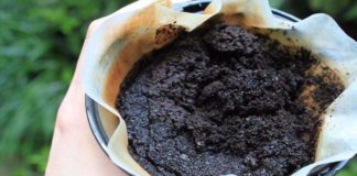 Do not throw coffee ground anymore, discover 10 fascinating ways to use it in your garden